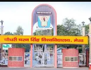 site
